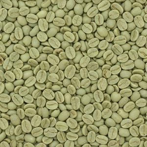 Green coffee beans supplier wholesale coffee kuwait