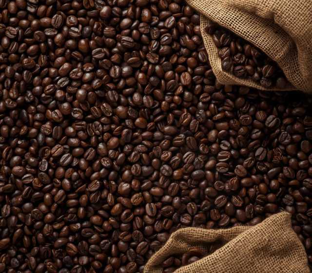 roasted coffee beans supplier